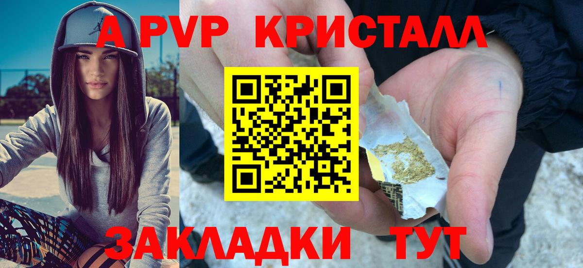 A-PVP СК КРИС  Вход с VPN  Альфа ПВП крисы CK  Дербент 