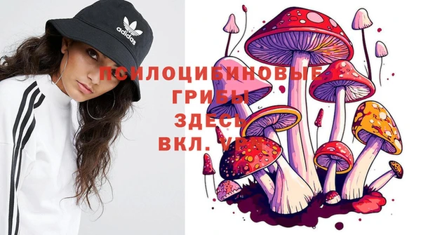 а пвп мука Осташков