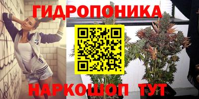 не бодяженный Лесосибирск