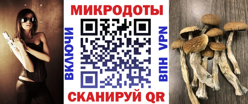 Галлюциногенные грибы Magic Shrooms  что такое наркотик  гидра как зайти  Дербент 